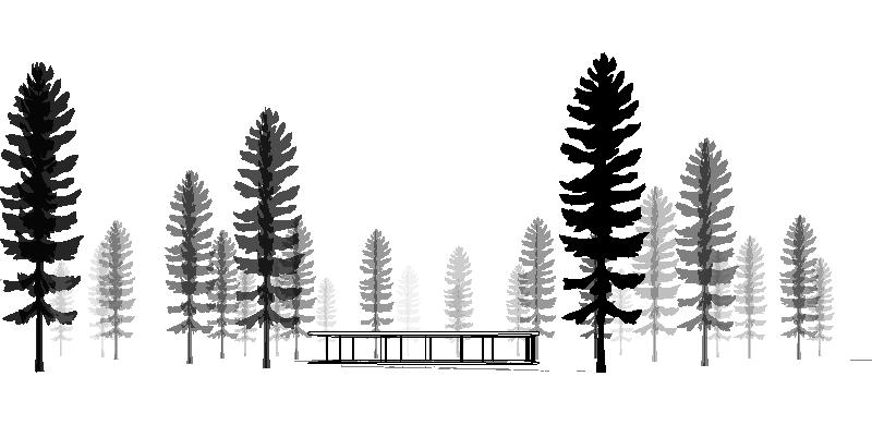 Trees cast shadows over terrain and other objects. Also in elevation and plan drawings.