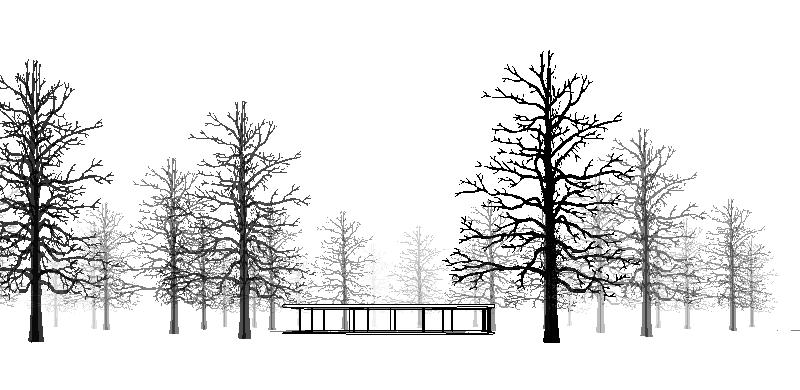 Trees cast shadows over terrain and other objects. Also in elevation and plan drawings.