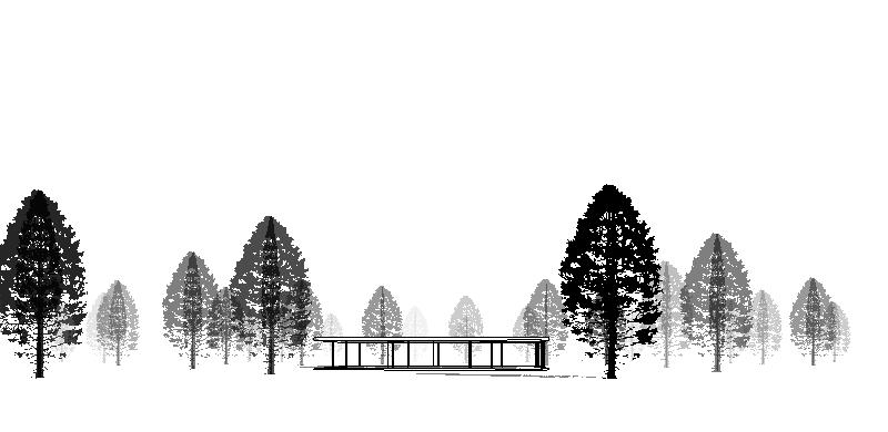 Trees cast shadows over terrain and other objects. Also in elevation and plan drawings.