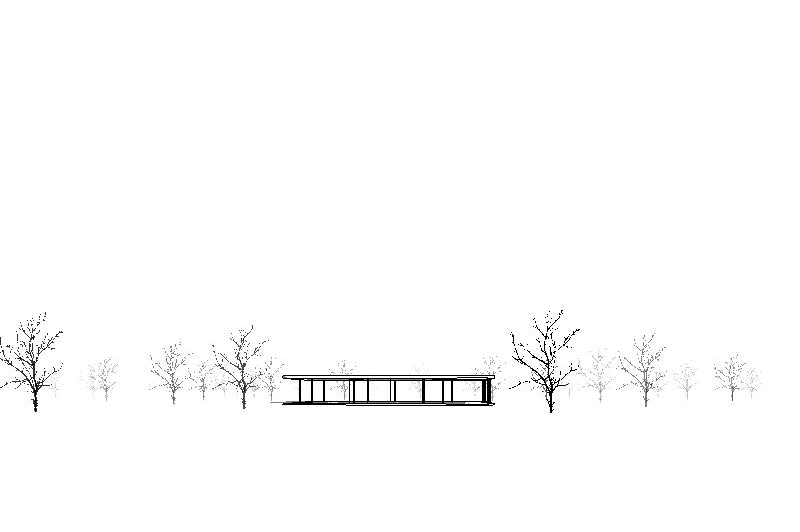 American Plum for Revit