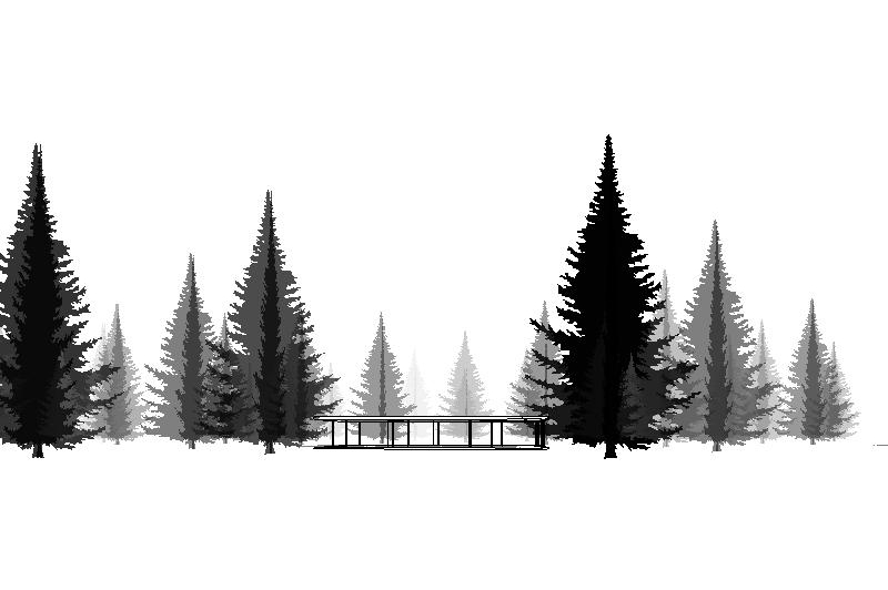 Balsam Fir for Revit