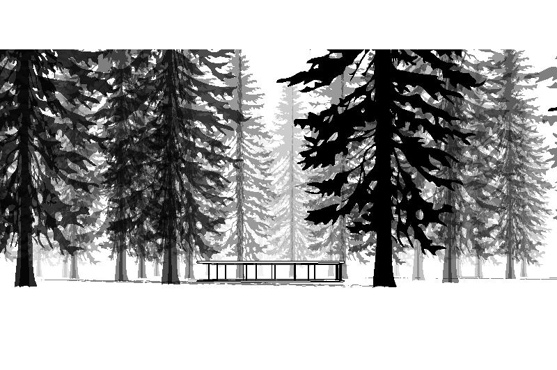 Grand Fir for Revit