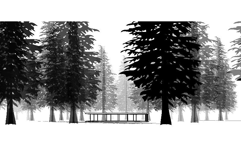 Western Hemlock for Revit