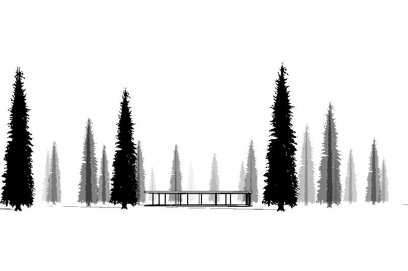 Yellow Cedar for Revit