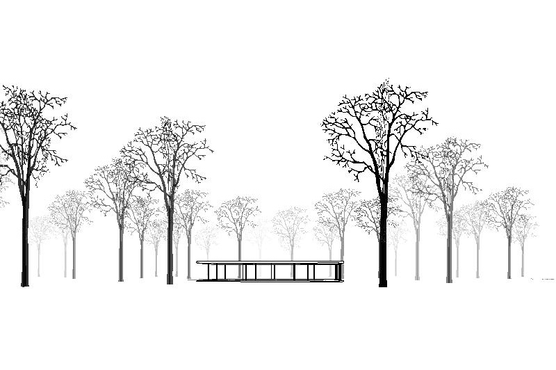 Slippery Elm for Revit